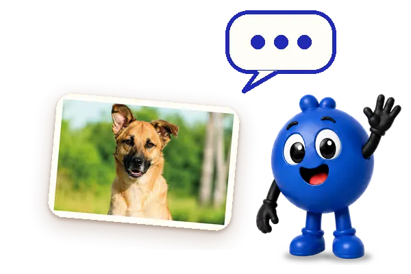Milo talking next to the dog card, with a speech bubble
